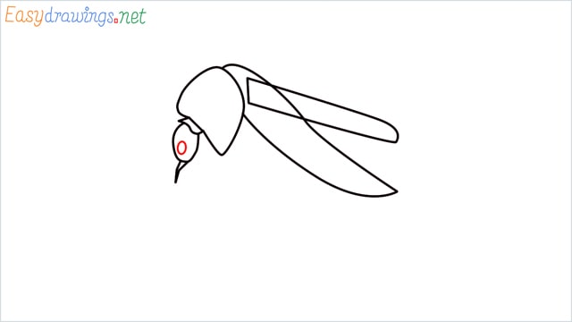 How to draw a Mosquito step (5)