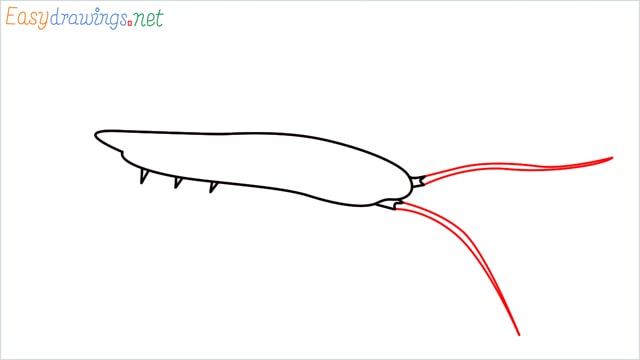How to draw a Silverfish step (3)