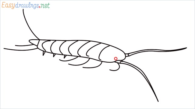 How to draw a Silverfish step (6)