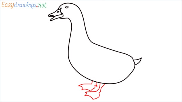 how to draw a baby duck step (6)