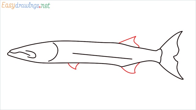 how to draw a baracuda fish step (5)