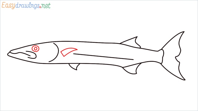 how to draw a baracuda fish step (6)