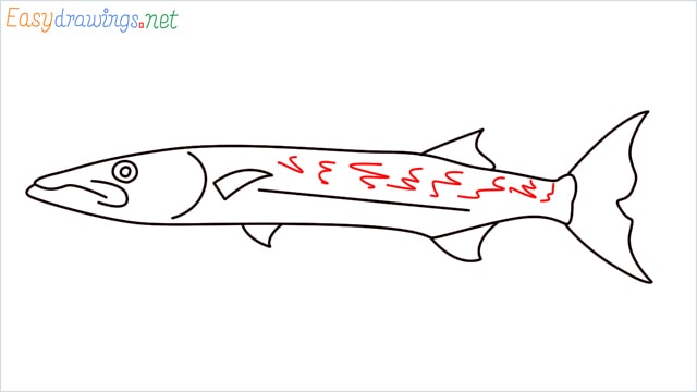 how to draw a baracuda fish step (7)