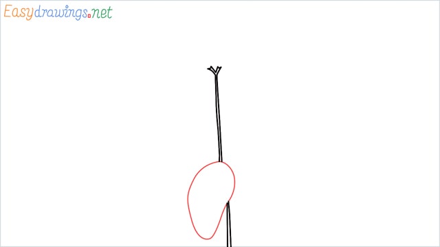 how to draw a chilli tree step (3)