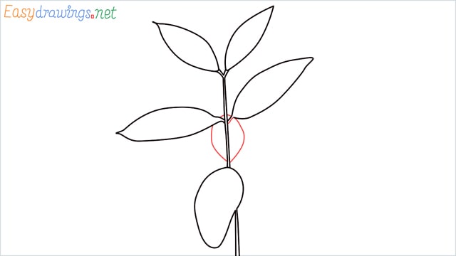 how to draw a chilli tree step (5)