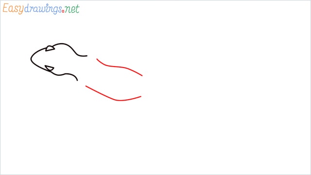 how to draw a lizard step (4)