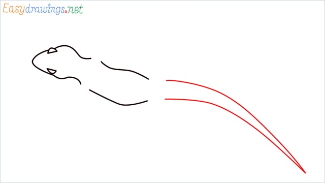how to draw a lizard step (5)