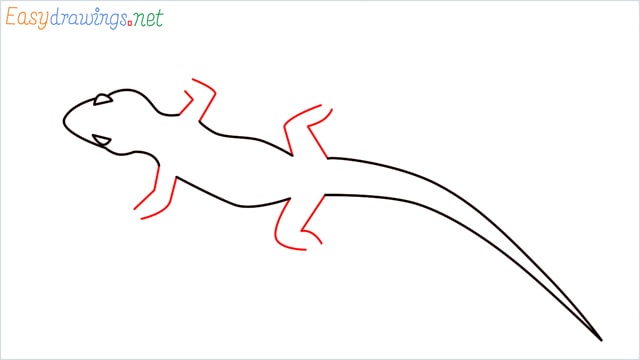 how to draw a lizard step (6)