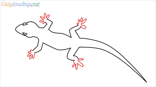 how to draw a lizard step (7)