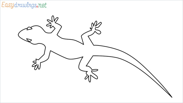 how to draw a lizard step by step