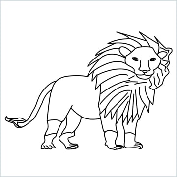 lion drawing