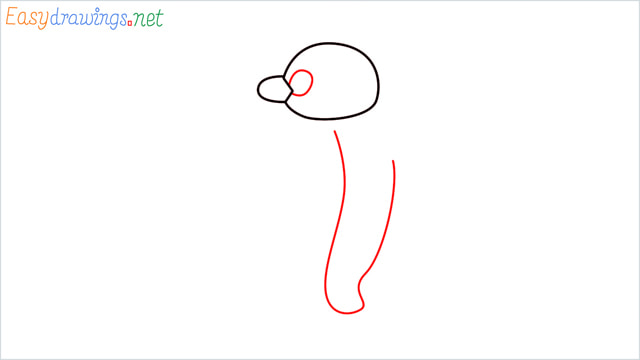 How to draw Pingu step (3)