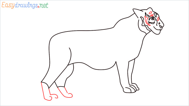 How to draw a Tiger step (12)