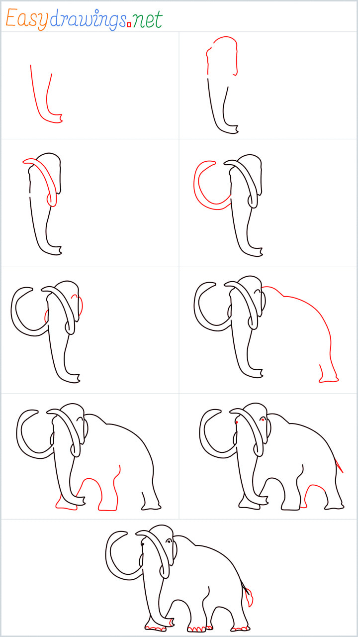 Step by Step Instructions for Mammoth drawing
