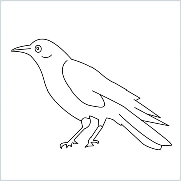 raven drawing