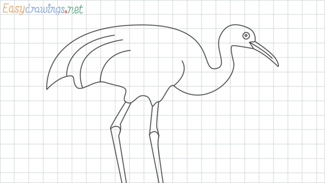 How to Draw a Crane Step by Step for Beginners: 9 Simple phase