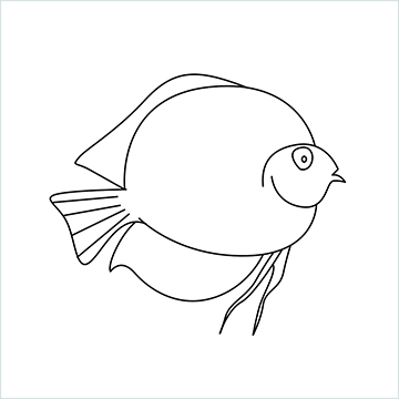 Discus Fish drawing