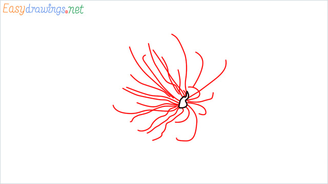 How to draw a Cherry Blossom Flower step (2)