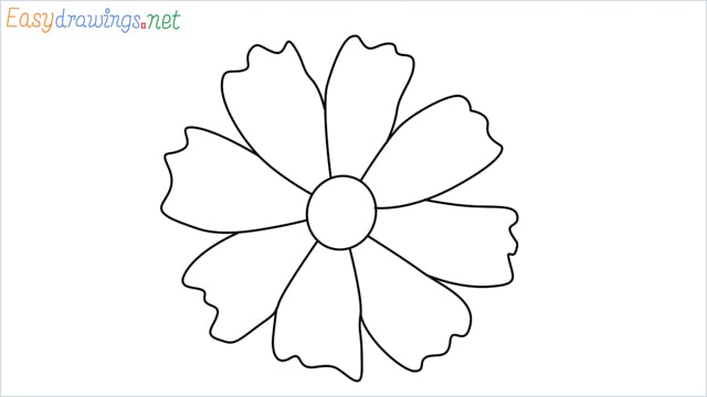 How to draw a Marigold flower step by step