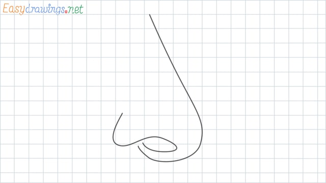 Nose grid line drawing