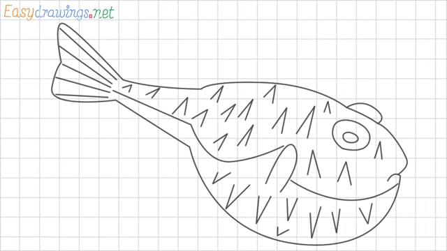 Puffer fish grid line drawing