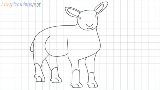Sheep grid line drawing