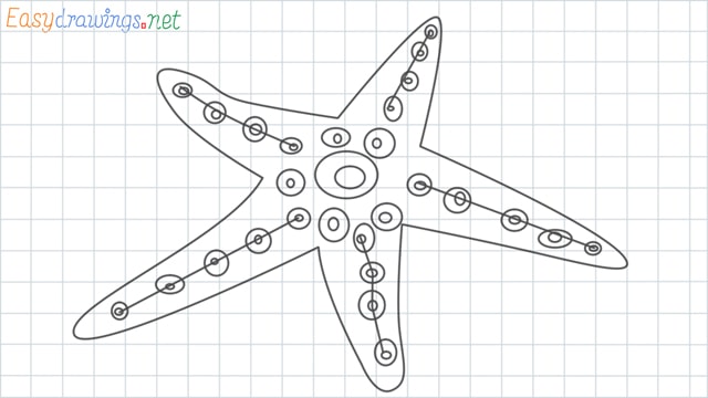 Starfish grid line drawing
