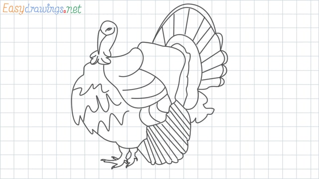 Turkey grid line drawing