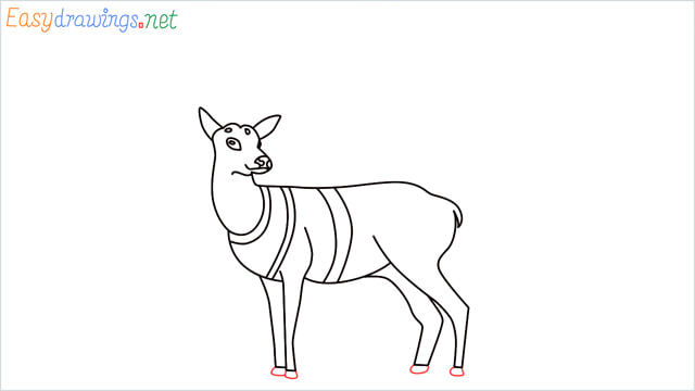How to draw a Reindeer step (12)
