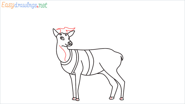How to draw a Reindeer step (13)