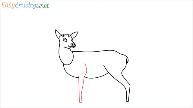 How to draw a Reindeer step (9)