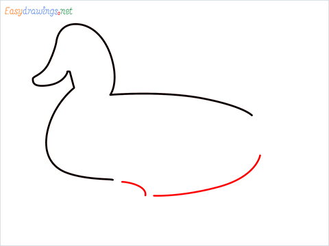 duck drawing for kids step (4)