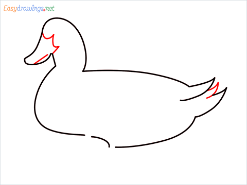 duck drawing for kids step (6)