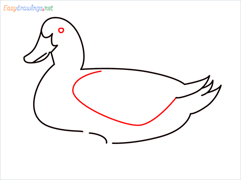 duck drawing for kids step (7)