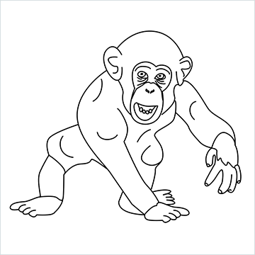 Chimpanzee drawing