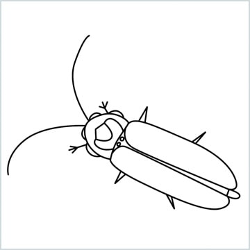 Firefly coloring page
