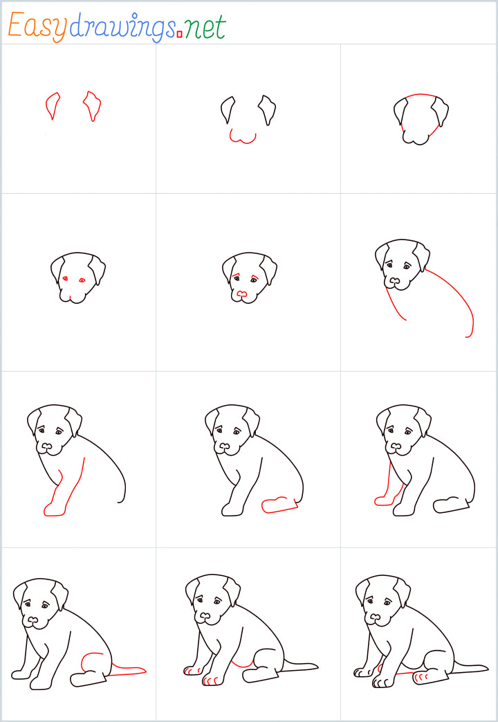 How To Draw A Sitting Dog Step By Step 12 Easy Phase