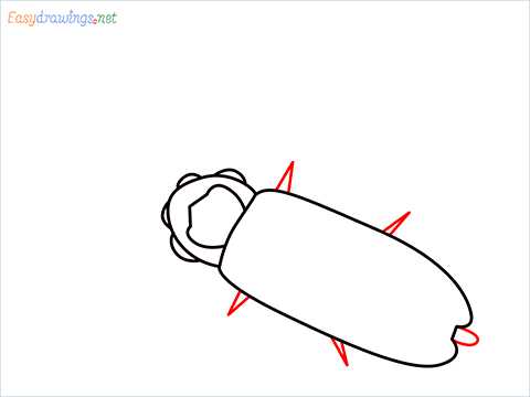 how to draw a Firefly step (4)