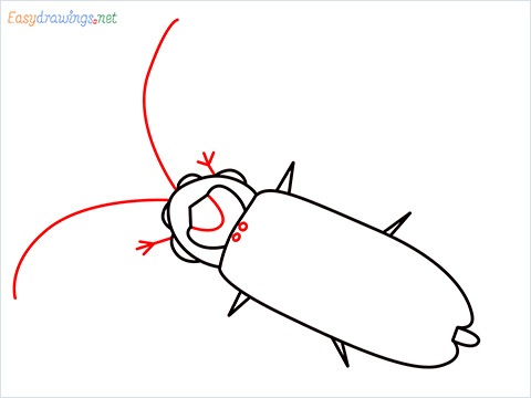 how to draw a Firefly step (5)