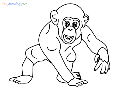 how to draw a chimpanzee step by step for beginners