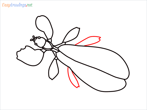 how to draw a leaf insect step (9)