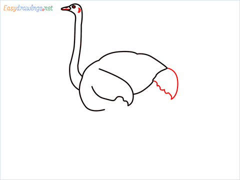 how to draw a ostrich step (4)
