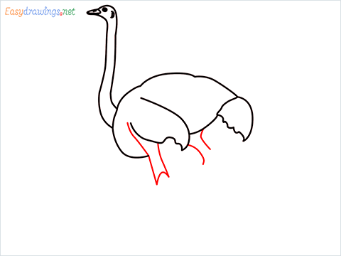 how to draw a ostrich step (5)