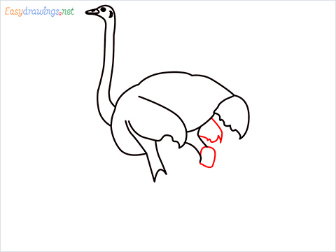 how to draw a ostrich step (6)