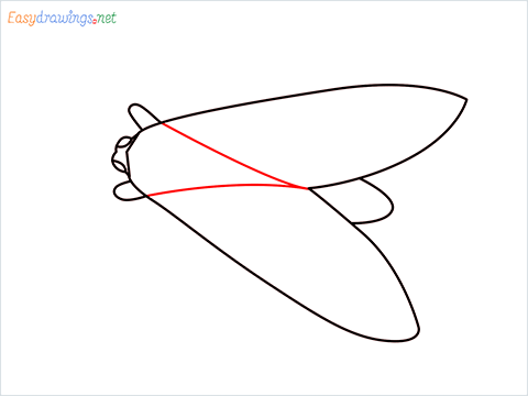 how to draw a Moth Step (5)