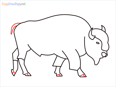 how to draw a bison Step (10)