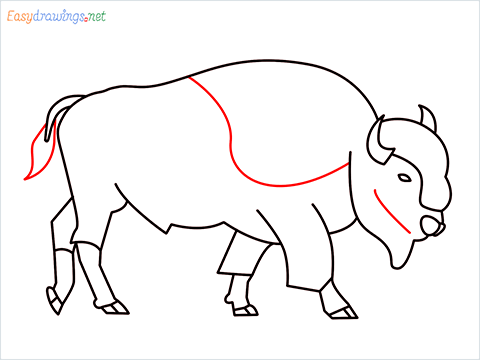 how to draw a bison Step (11)