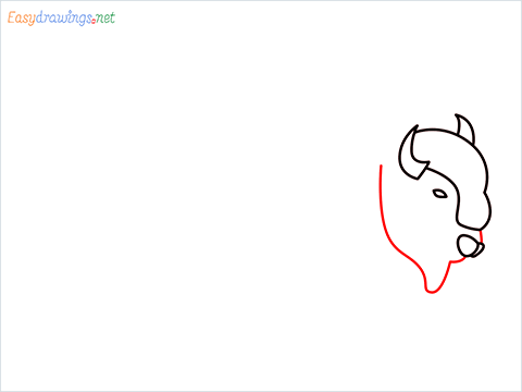 how to draw a bison Step (4)