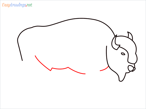 how to draw a bison Step (6)