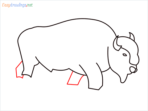 how to draw a bison Step (8)